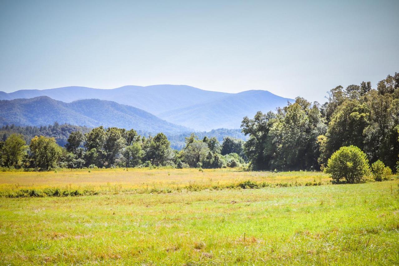 Pine Cone Ridge Βίλα Sevierville Εξωτερικό φωτογραφία